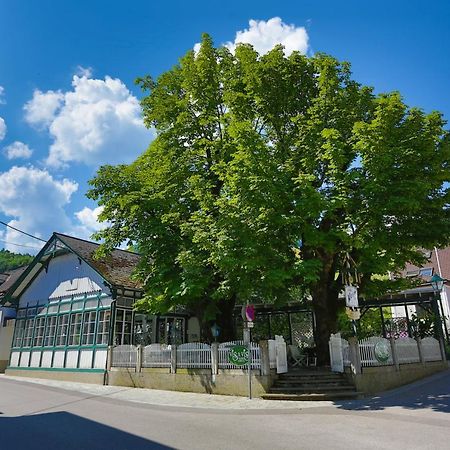 Apartment Welser Ybbsitz Zewnętrze zdjęcie