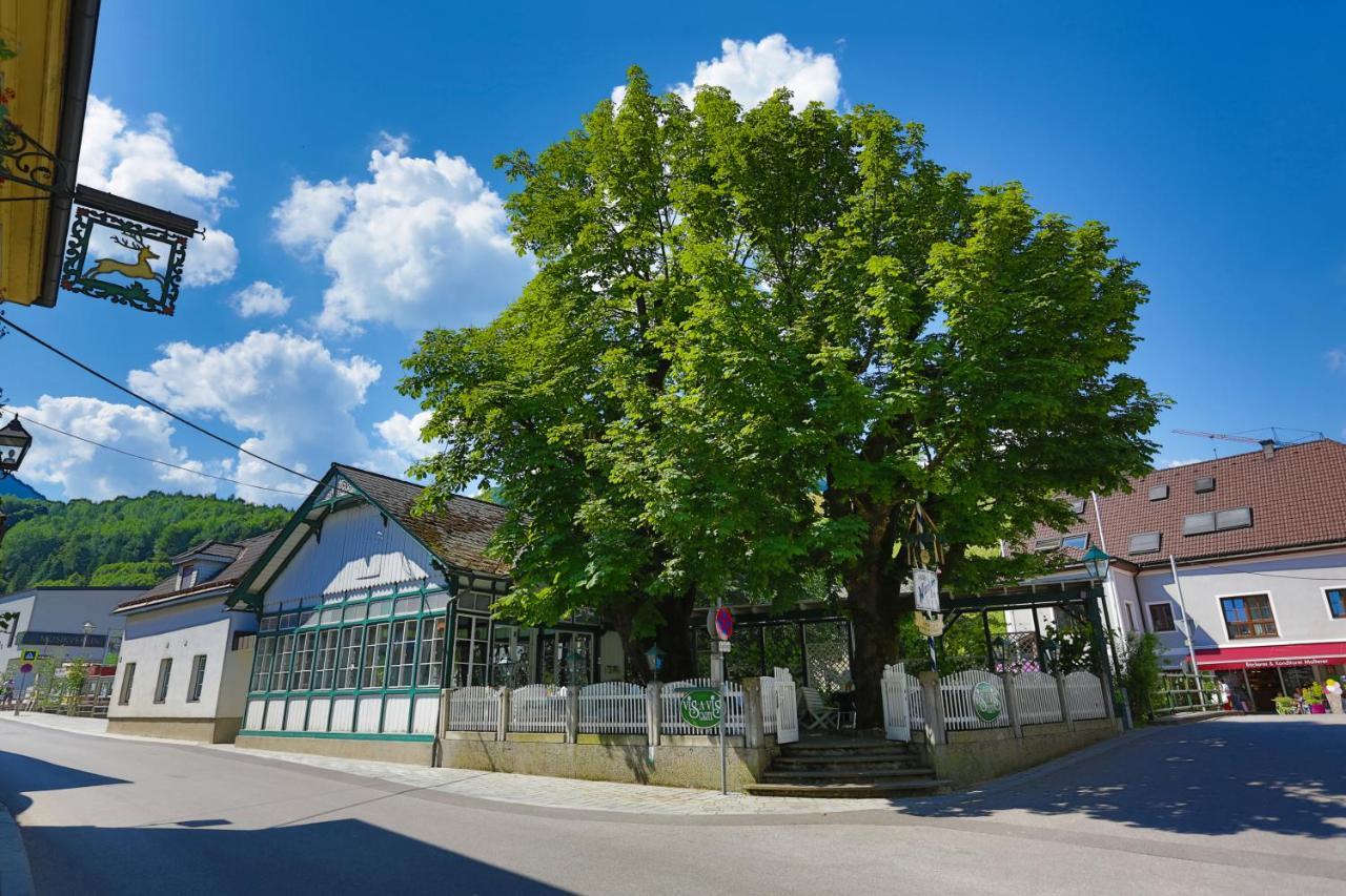 Apartment Welser Ybbsitz Zewnętrze zdjęcie