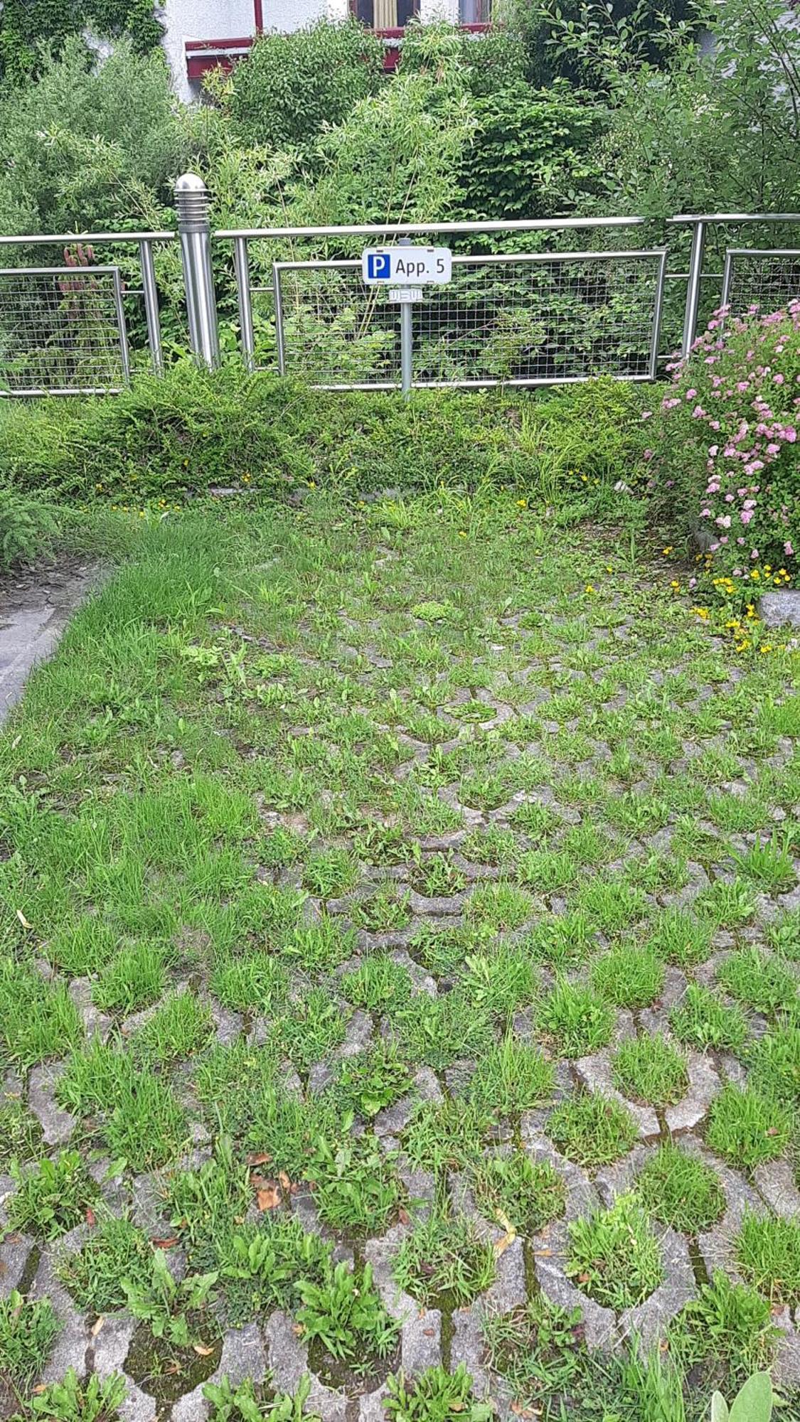 Apartment Welser Ybbsitz Zewnętrze zdjęcie