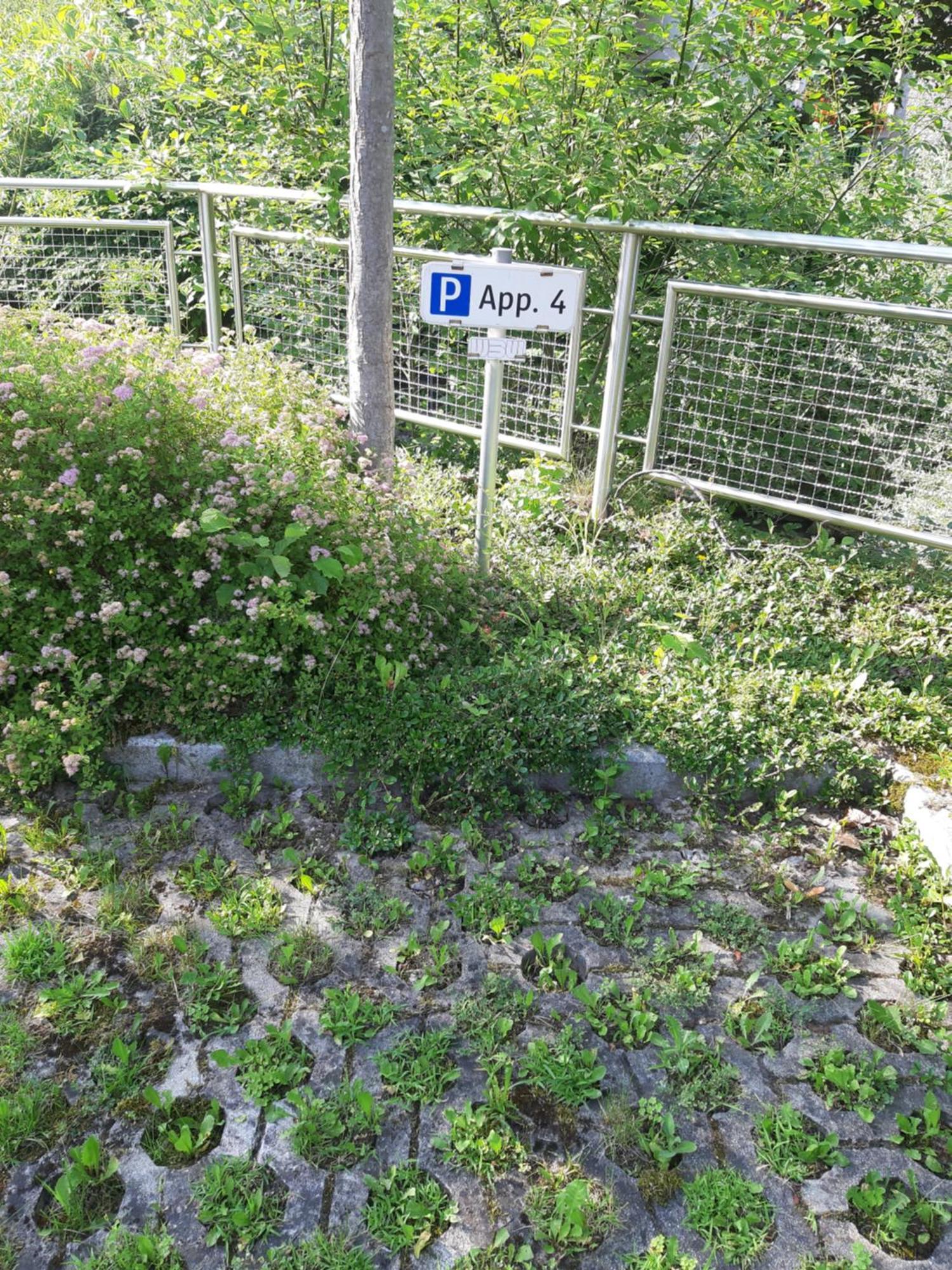Apartment Welser Ybbsitz Zewnętrze zdjęcie